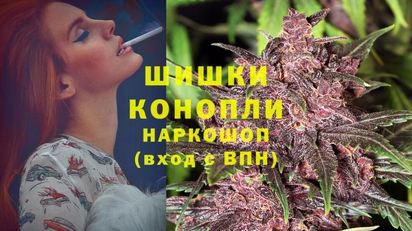 крисы Магадан
