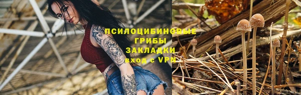 крисы Магадан