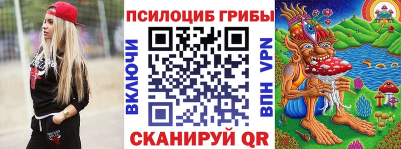Псилоцибиновые грибы мицелий  Щигры 